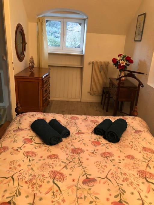 Appartement Rdc Dans Jolie Parc Arbore Beure Ngoại thất bức ảnh